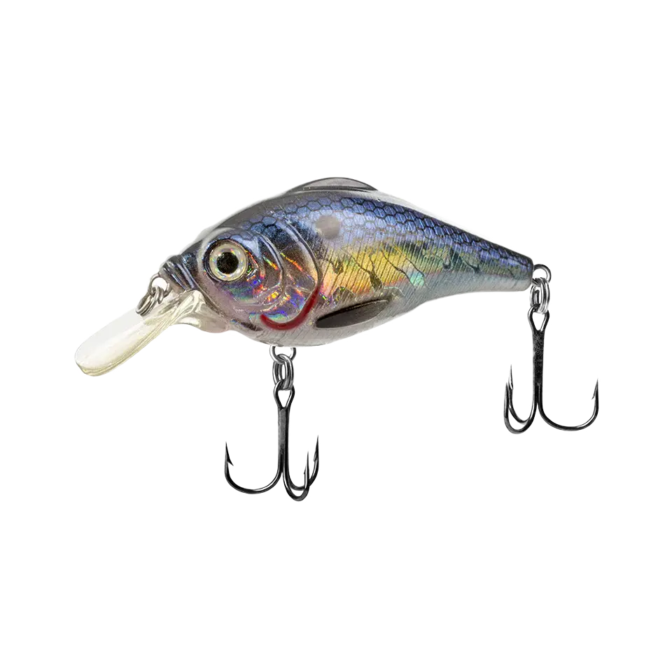 6814a27c0cdf0a000989983d.png